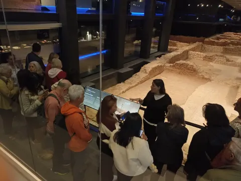 Villa Antiopa visitas grupos