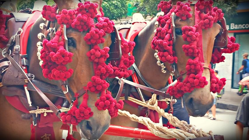 Imagen de Mayo del Calendario 2026 (Cristóbal García) con una instantánea de dos caballos durante la Feria de Rincón de la Victoria