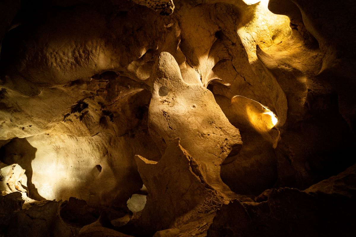 Sala Noctiluca - Cueva del Tesoro